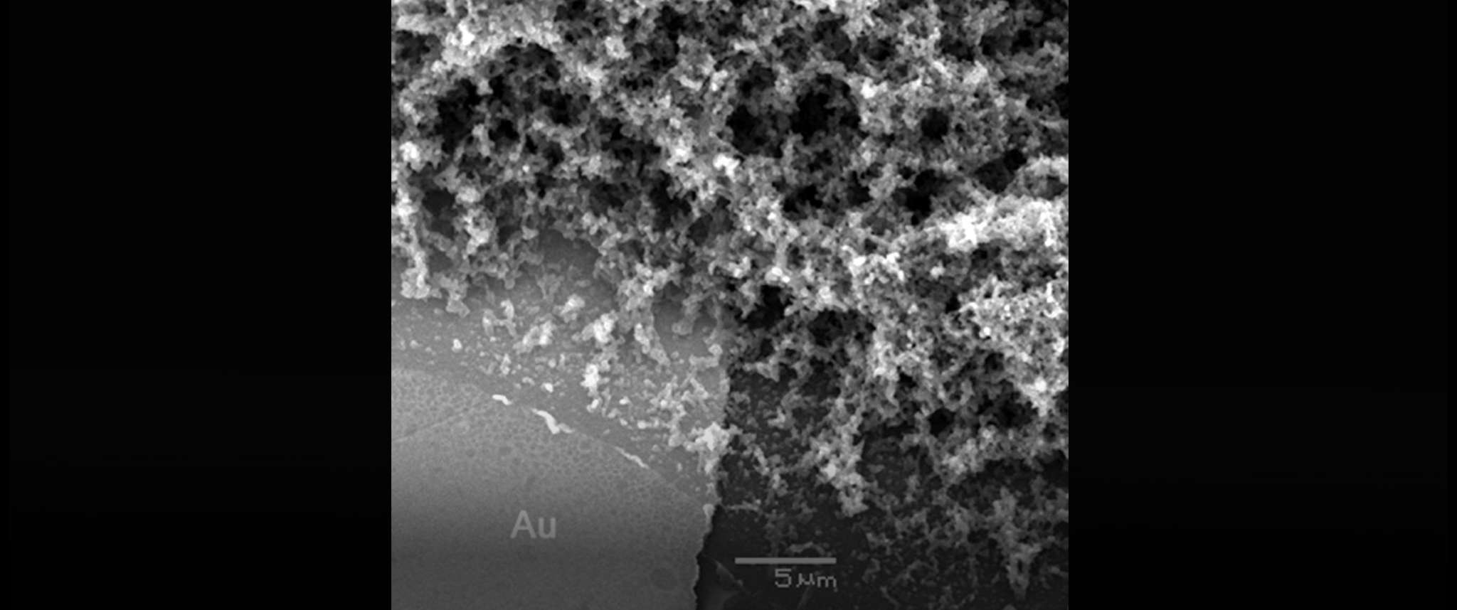 Cool Tubes on a Chip: Conductive polymer nanotubes grown on sensor chip.