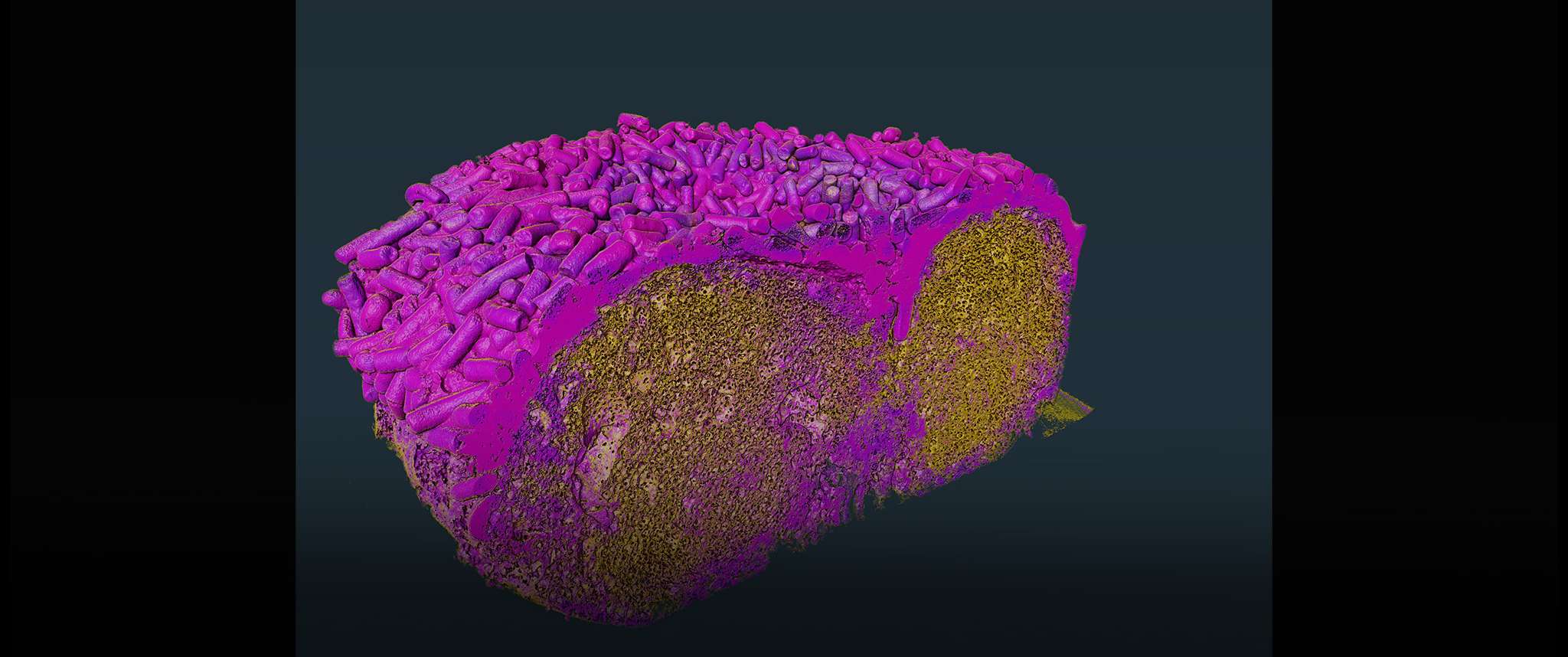 Donut Forget: A colorized 3D render of CT scan of a breakfast pastry used for characterization of foam analysis capabilities in Volume Graphics Studio Max 2024. Donut forget to sprinkle some fun into your day.