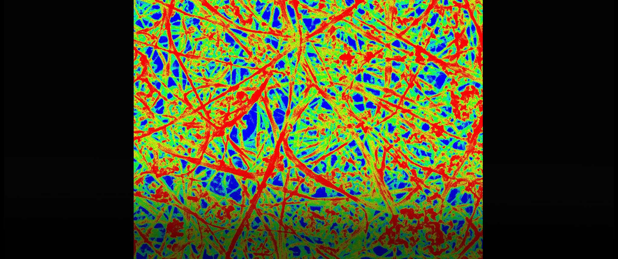 FESEM Carbon Nanotubes a la Jackson Pollack: Colorized Field Emission Scanning Electron Microscopy (FESEM) image of carbon nanotubes. Field of view is 2.5 microns.