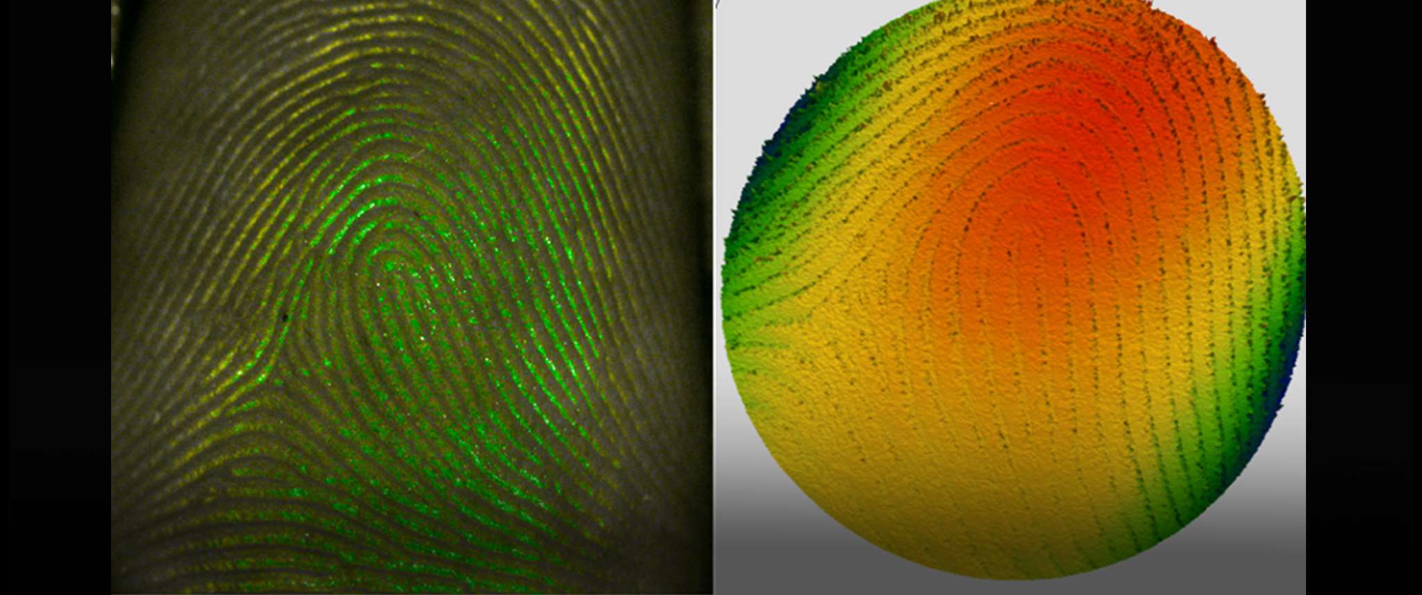 Precision Meets Identity: 4D InSpec Fingerprinting: This was captured using a 4D Inspec, a handheld interferometer primarily utilized in aviation settings for pass/fail assessments. I directed the 4D Inspec at my hand and captured the snapshot. The colormap in this image represents a heightmap of the ridges and valleys of my fingerprints.