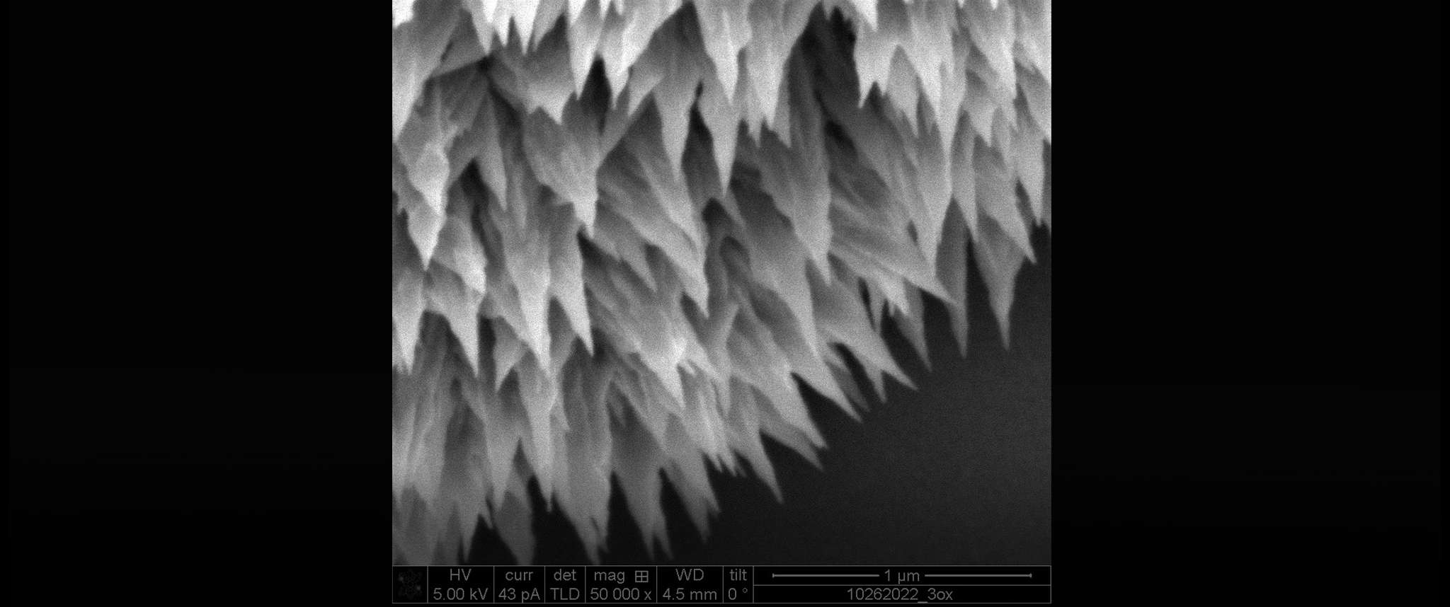 Tellurium Tribble Close-up: Tellurium by-product from a simple silver surface reaction found to crystallize along substrate cracks into unique spiky structures with delicate and intricate features. Aerospace evaluates novel chemical reactions to understand their impact on space systems.